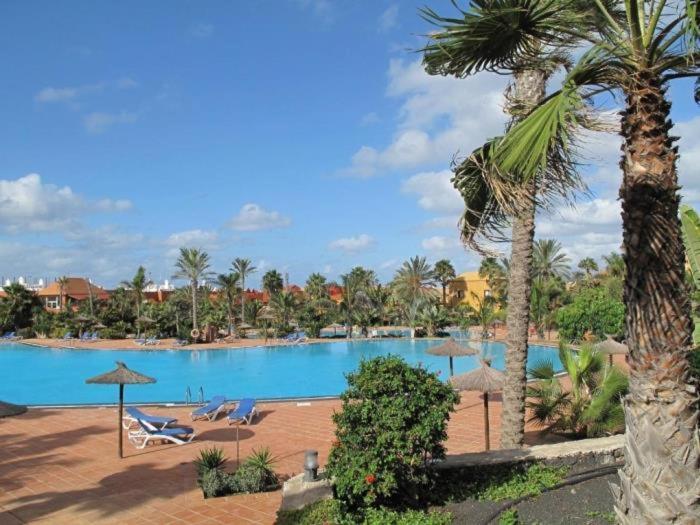 Oasis Tamarindo By Best Holidays Fuerteventura คอร์ราเลโฮ ภายนอก รูปภาพ