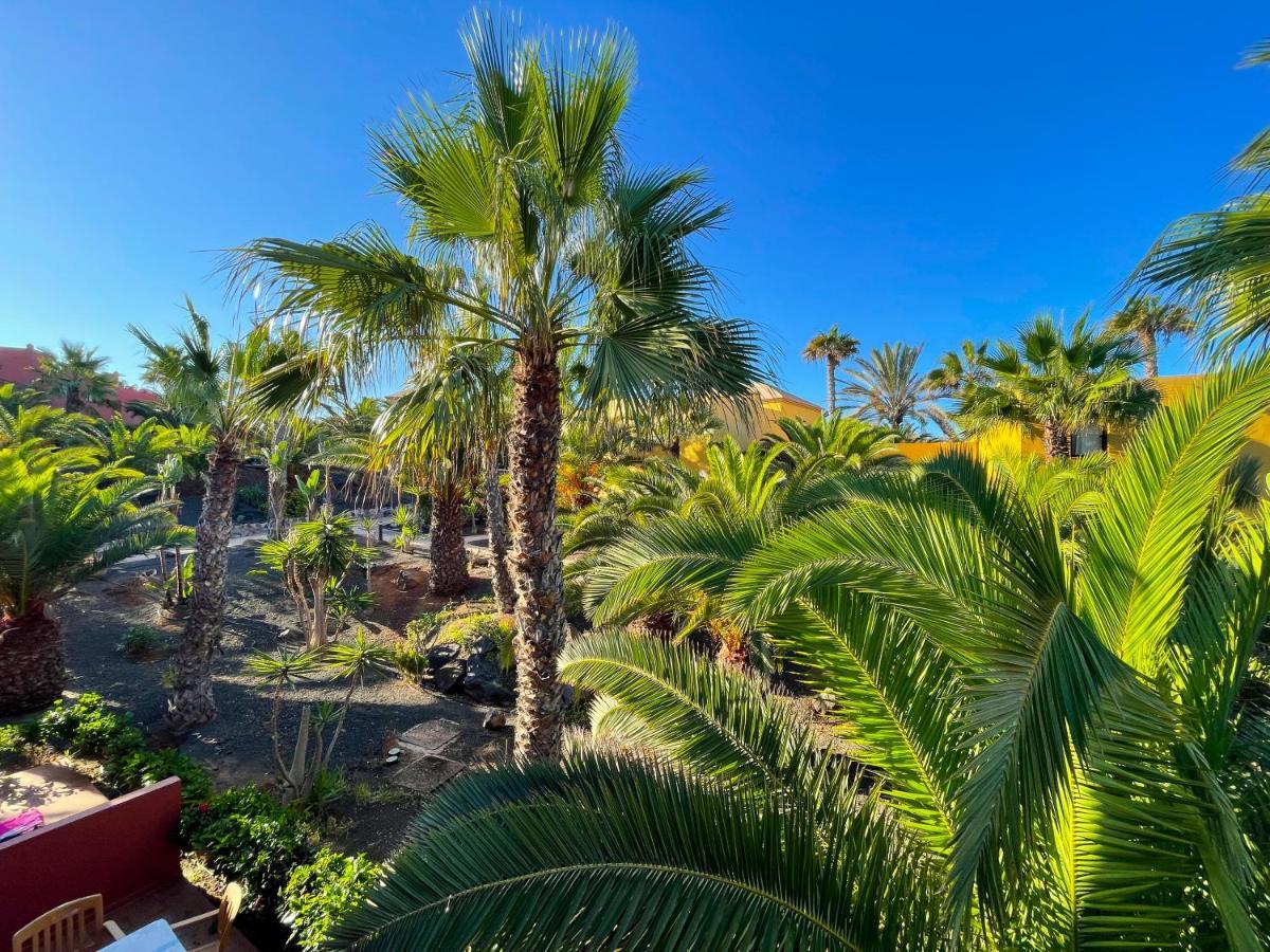 Oasis Tamarindo By Best Holidays Fuerteventura คอร์ราเลโฮ ภายนอก รูปภาพ