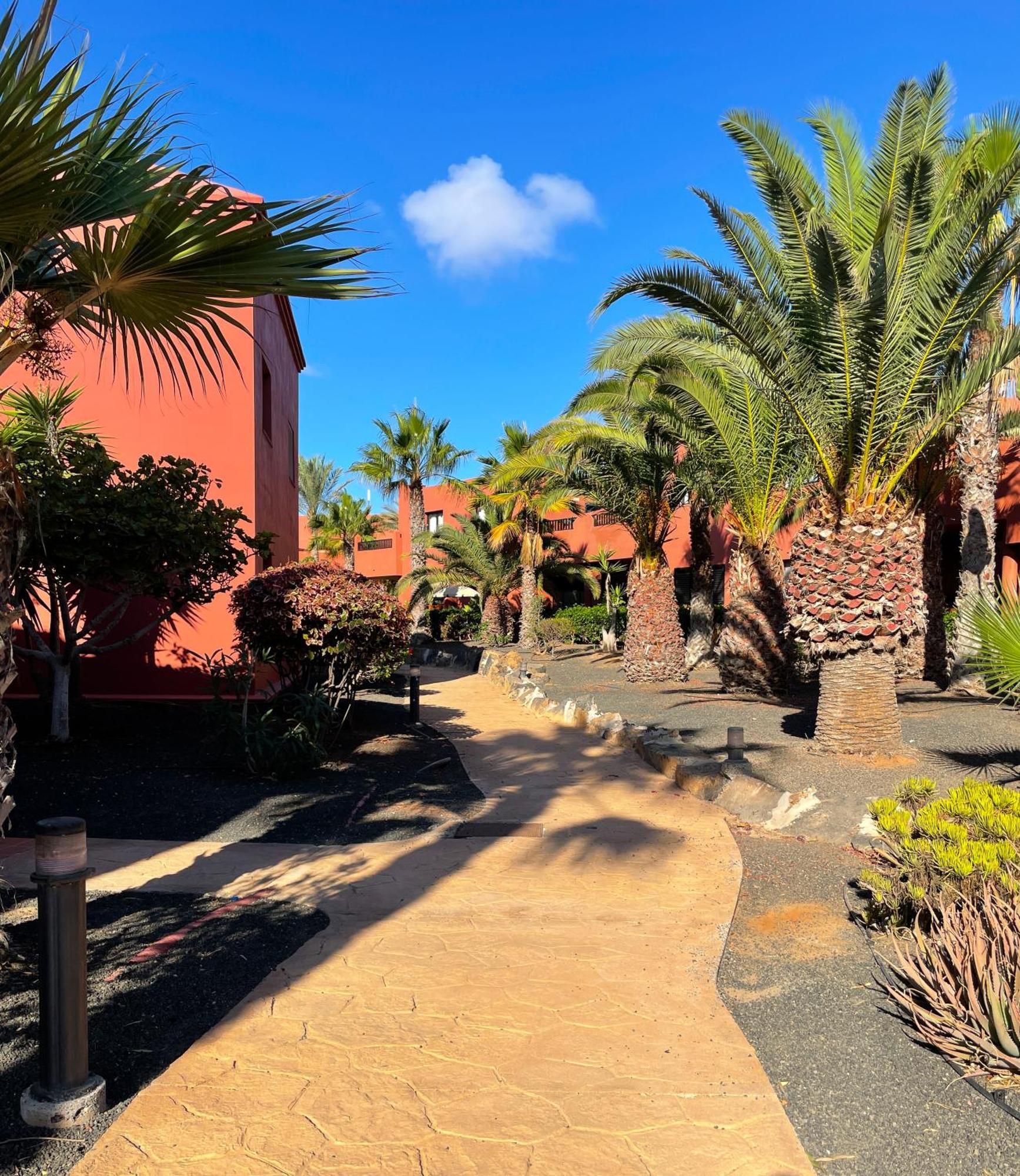 Oasis Tamarindo By Best Holidays Fuerteventura คอร์ราเลโฮ ภายนอก รูปภาพ