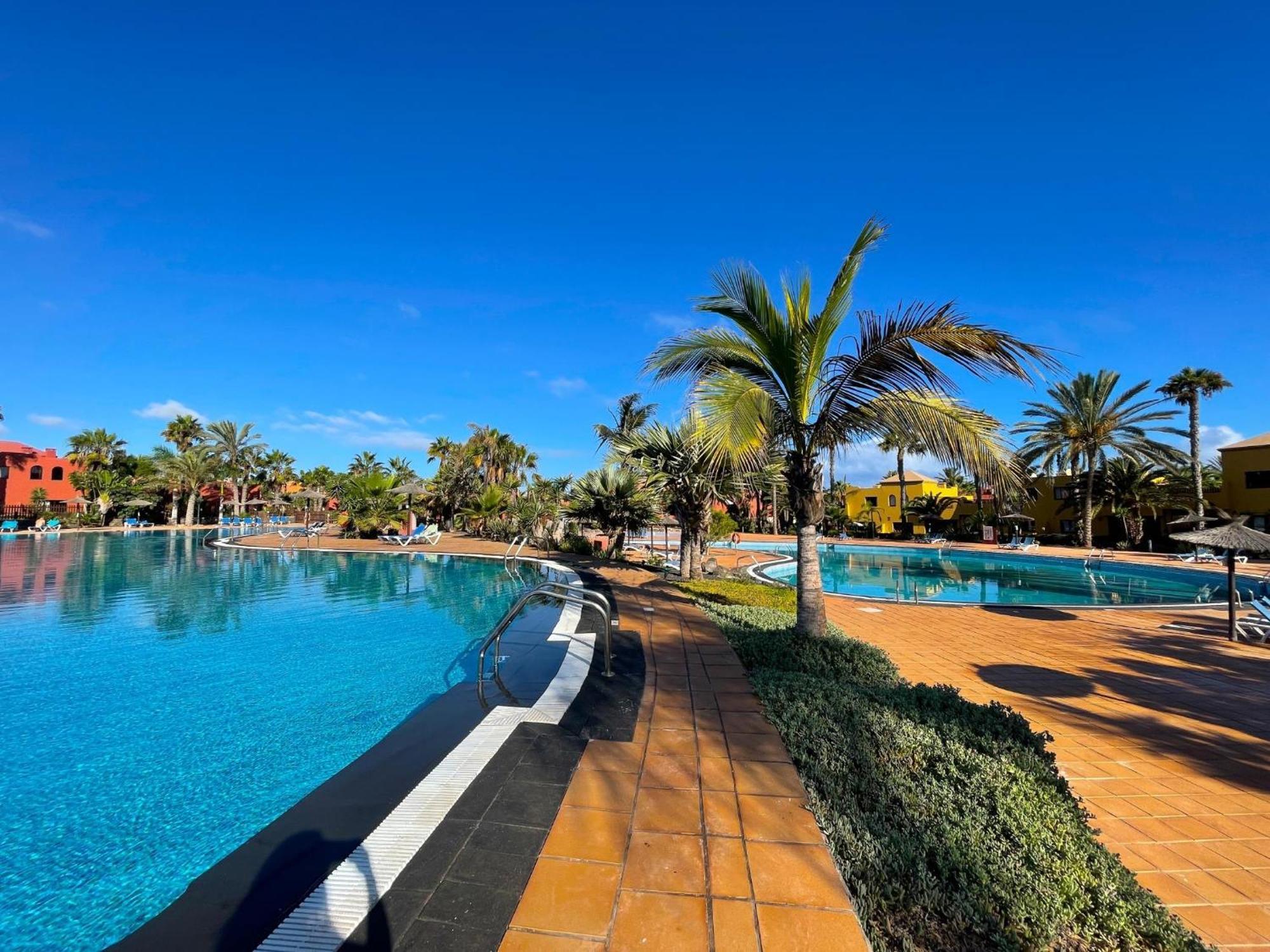 Oasis Tamarindo By Best Holidays Fuerteventura คอร์ราเลโฮ ห้อง รูปภาพ