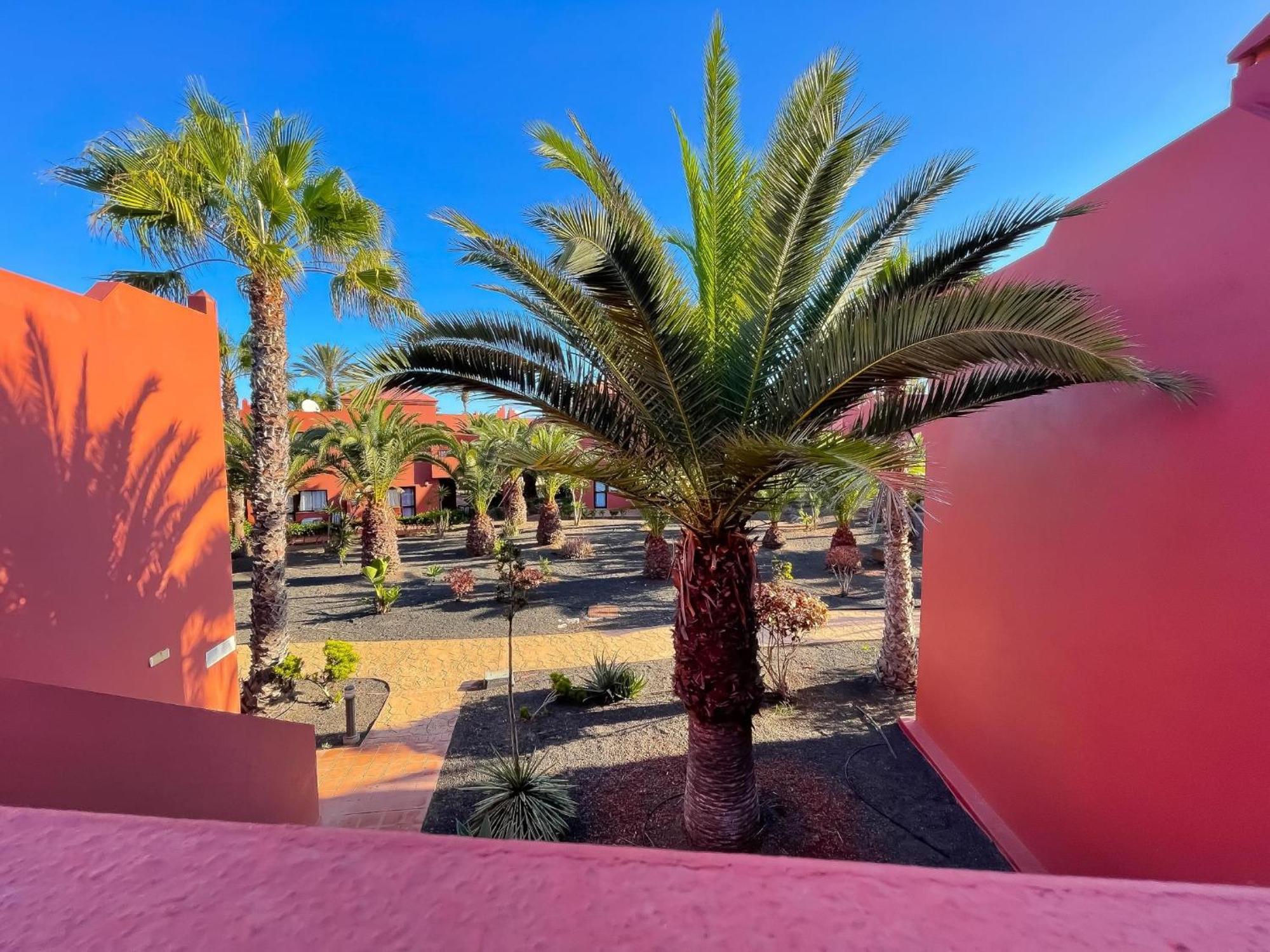 Oasis Tamarindo By Best Holidays Fuerteventura คอร์ราเลโฮ ห้อง รูปภาพ